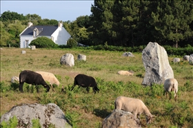 Carnac-Le Menec